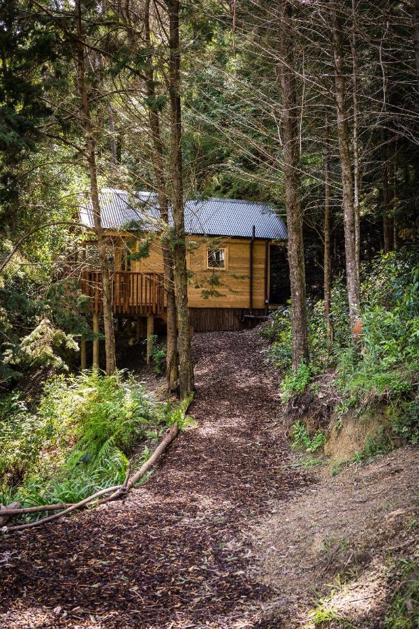 Maitai Whare Iti - Adventure Cabins & House ネルソン エクステリア 写真